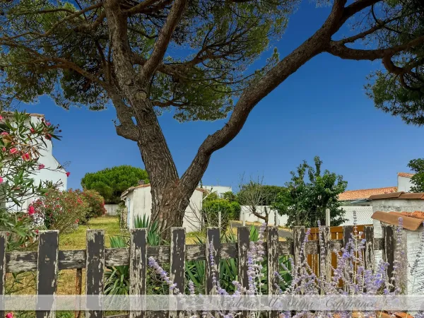 Maison 3 pièces 57 m²