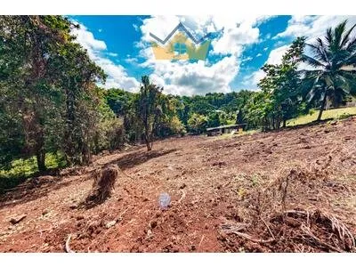 Terrain de 1549m² constructitble quartier Palmene Saint-Esprit