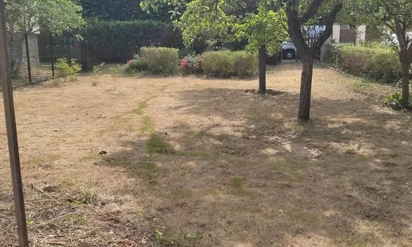 Terrain 354 m²