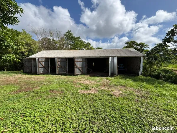 LOCAL 185 m² - STOCKAGE / DÉPÔT / ATELIER - LE LAMENTIN - 1 950