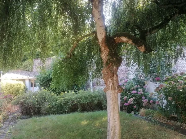 Maison 4 pièces 120 m²