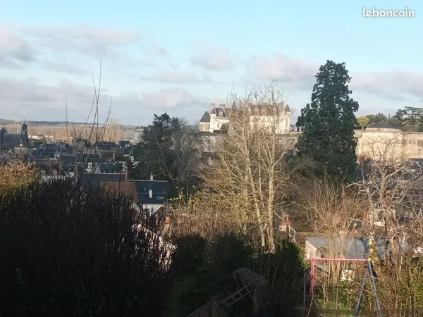 Terrain constructible, centre ville, vue sur château