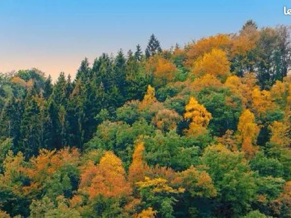 Vente terrain montagne