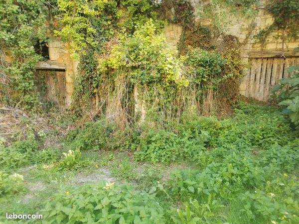 A vendre lot de 3 caves