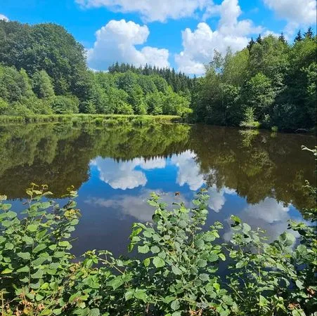 Bel étang et sa forêt