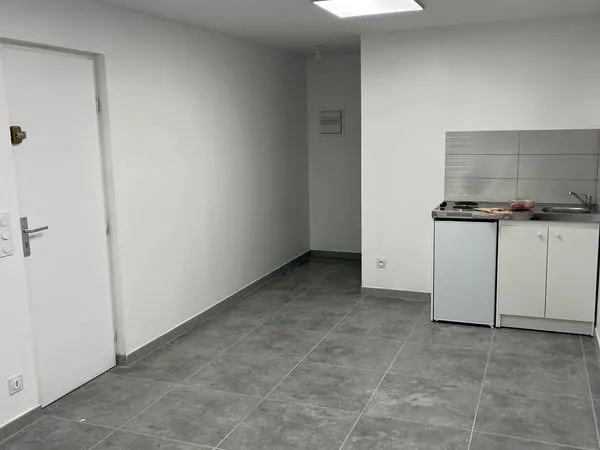 APT studio rdc centre ville
