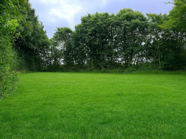 Terrain 487 m²