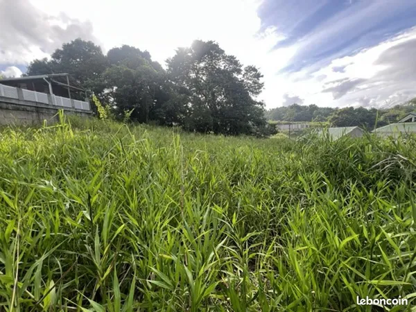Terrain 1 639 m² Ducos