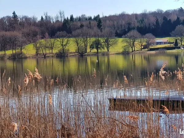 Au bord du lac maison individuelle 5 pièces plus dépendance