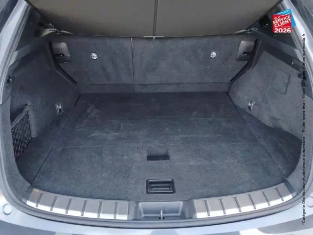 Lexus Nx 450h+ f sport executive 4wd my24 — photo 15