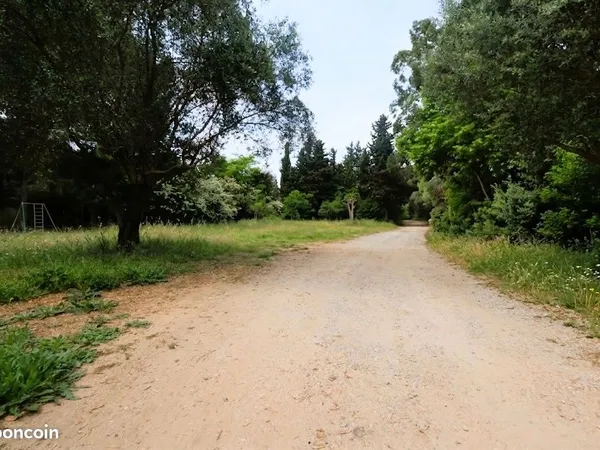 Propriété 7 pièces 241 m²