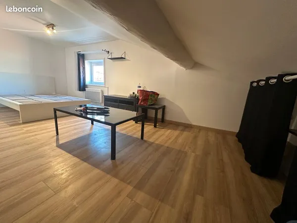 T1 meublé entre fauriel et chavanelle prox fac
