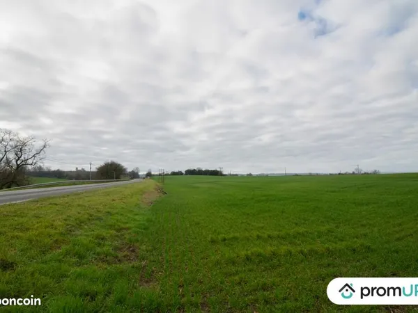 Terrain agricole 6 000 m² Sempesserre