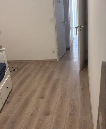 Chambre disponible en collocation