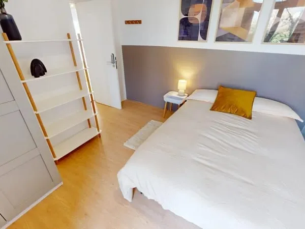 Chambre Colocation Bron 14m² 545€