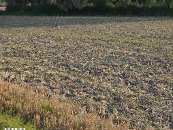 Terrain constructible saint folquin 610 m2