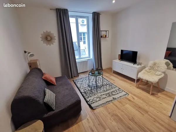 STUDIO MEUBLÉ LYON 7e