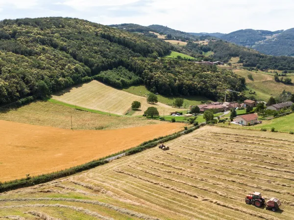 Indice des fermages 2026 : +3,23 %, une hausse qui s'applique aux baux ruraux dès le 1er octobre