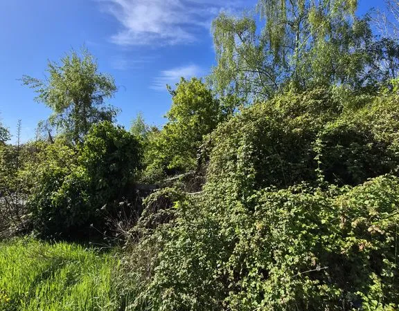 Terrain 1573 m²
