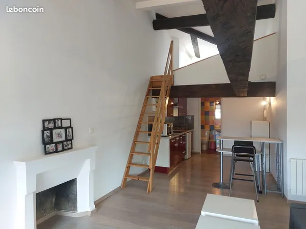 Studio Loft meublé 1 pièce 45 m² idéal étudiant