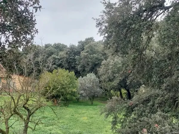 Terrain + maison Vente La Roque-d'Anthéron 142000€