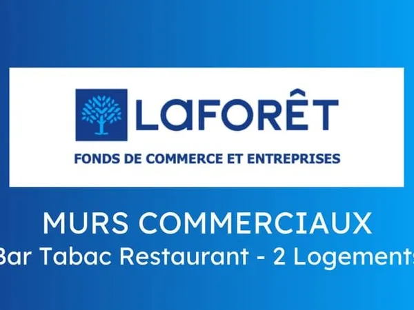 Immeuble commercial 3 pièces 400 m²