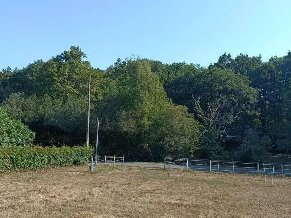 Terrain 1405 m²
