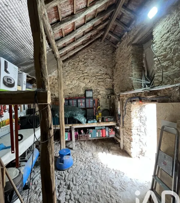 Photo 13