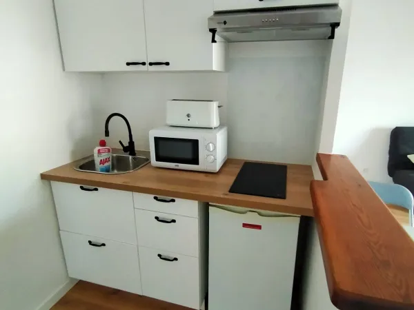 Location meublée F1