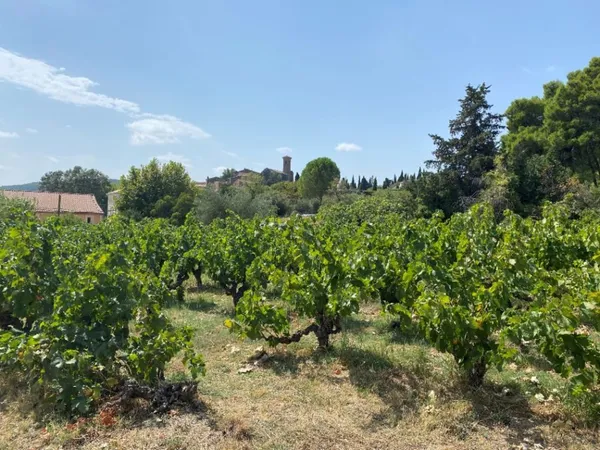 Terrain 1430 m²