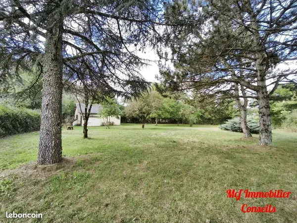 Terrain 1919 m²