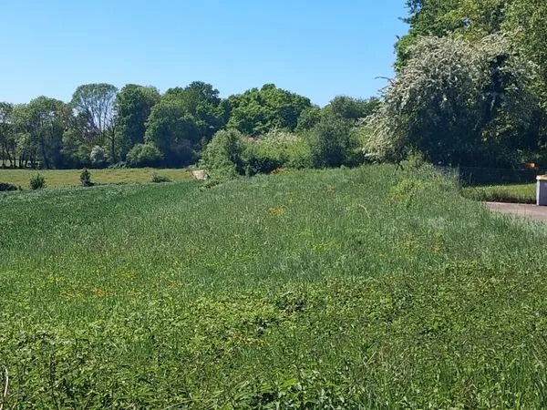 Terrain de loisir