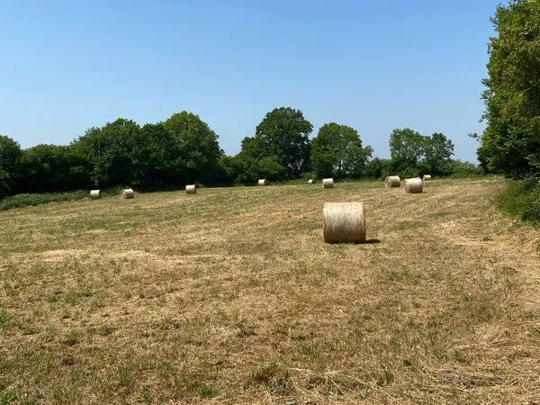 Terrain constructible 1ha Pays d'auge - rare