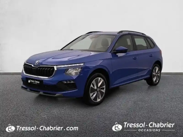 Skoda Kamiq 1.0 tsi evo 2 116 ch dsg7 clever edition