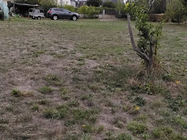 Terrain constructible