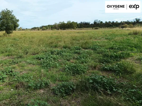 POLLESTRES - TERRAIN AGRICOLE DE 3,5 HECTARES