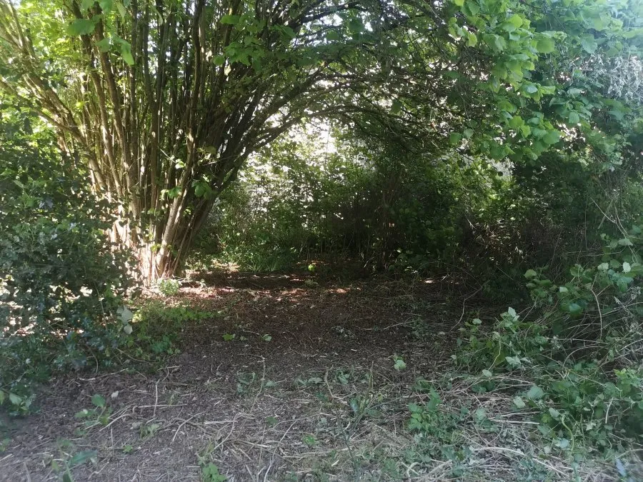 Photo 3