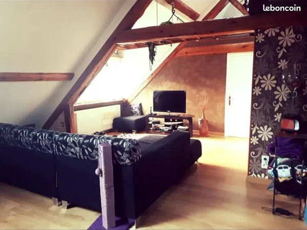 Appartement T3 proche de la frontière Suisse