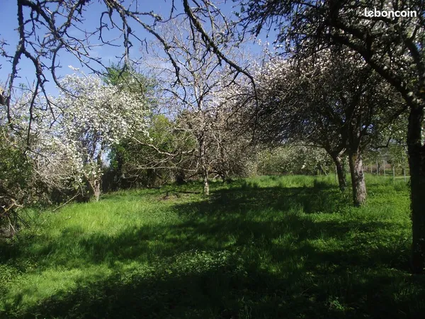 Terrain constructible