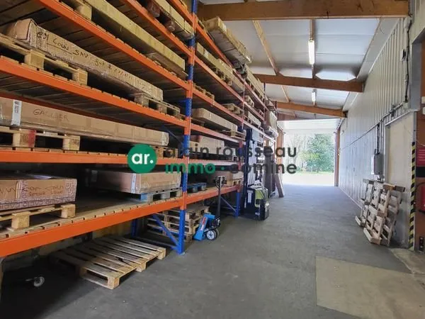 Local 600 m² Écouflant