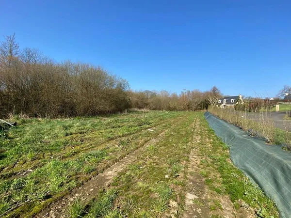 Terrain constructible 3650 m²