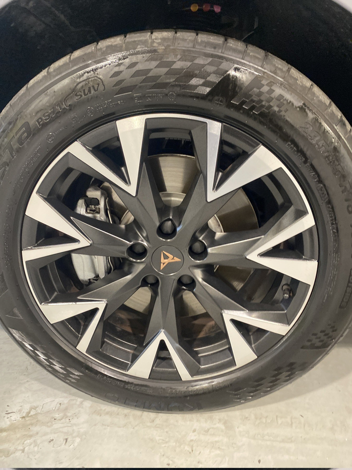 Cupra Terramar — photo 35