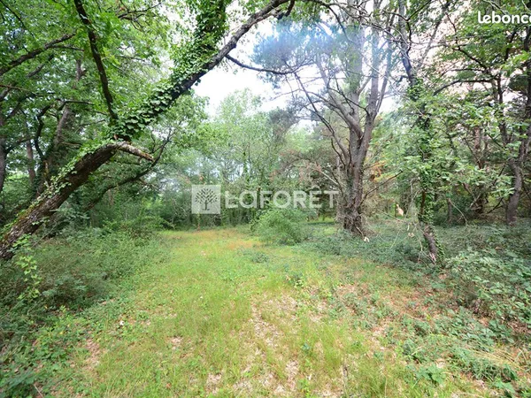 Terrain 11480 m² FRONTON