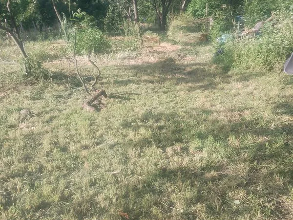 Terrain à bâtir
