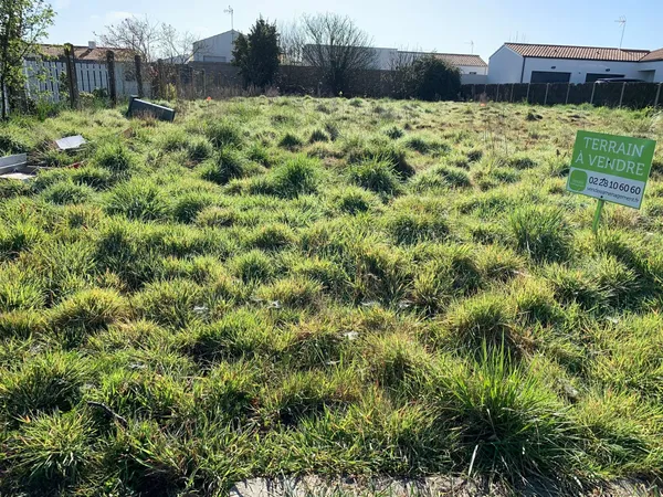 Terrain 300 m²