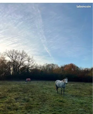 Prairie à louer