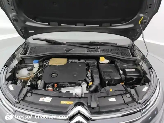 Citroën C4 cactus bluehdi 100 s&amp;s bvm6 shine — photo 7