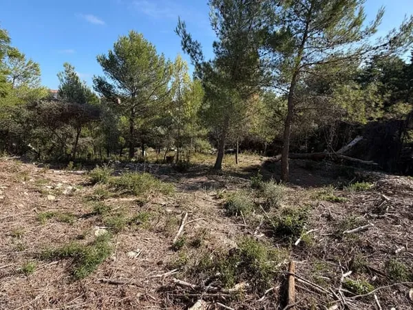 Terrain 989 m²