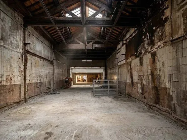 Local commercial 245 m²