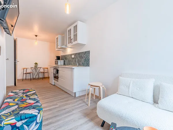T2 meublé 30 m² - Metz vieille ville (électricité comprise)